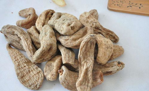 藏民地 西藏野生天麻的特別之處 天然去雕飾才是品質最好的天麻