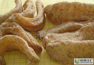 供應(yīng)產(chǎn)地直供深山優(yōu)質(zhì)出口級(jí)干天麻!_醫(yī)藥、保養(yǎng)_世界工廠網(wǎng)中國(guó)產(chǎn)品信息庫