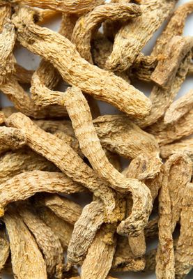 天麻的吃法 吃天麻需注意的事項