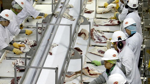 美國肉類工廠疫情危機 570人集體感染新冠，疫情期間被迫開工的背后